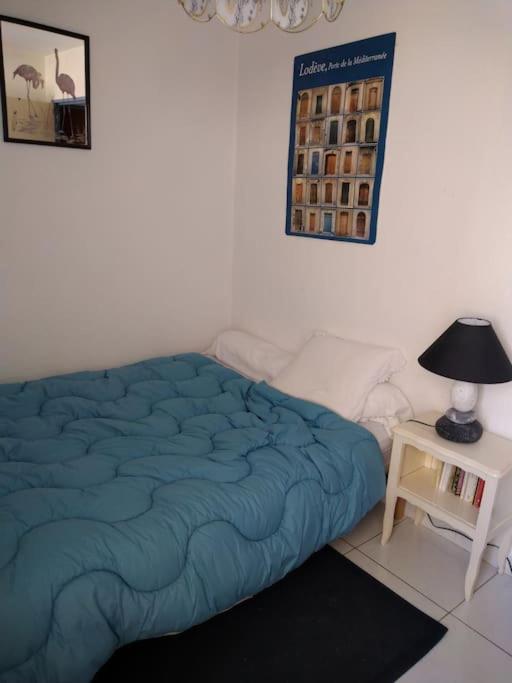 Appartement Vue Sur Canal Proximite Mer Sète Eksteriør billede
